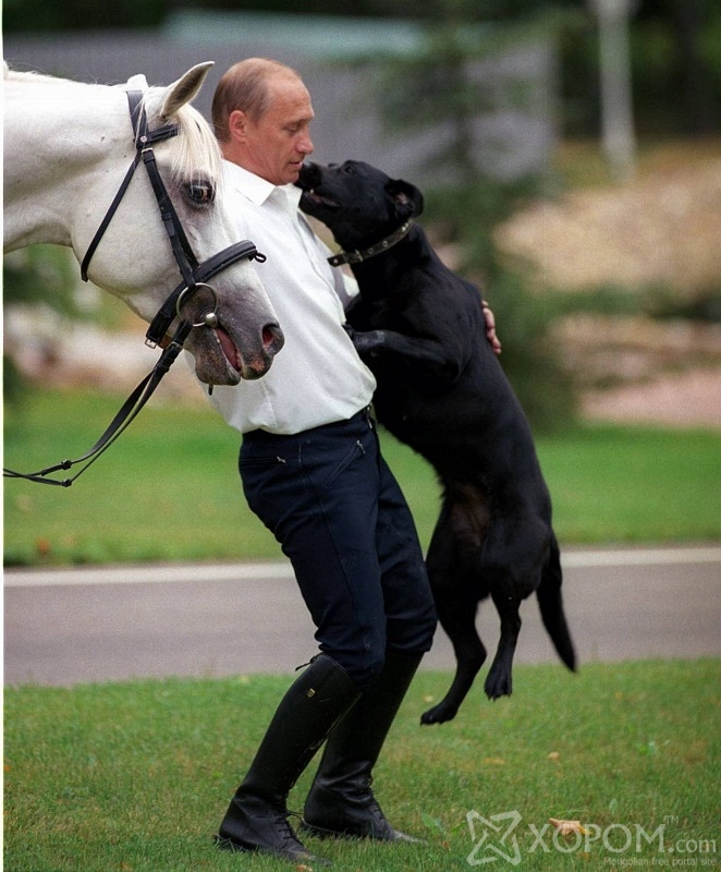 Владимир Путин ба түүний ноход 3