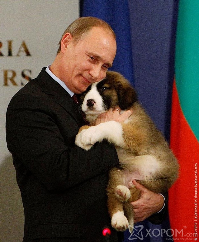 Владимир Путин ба түүний ноход 4