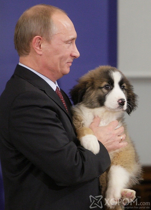 Владимир Путин ба түүний ноход 5