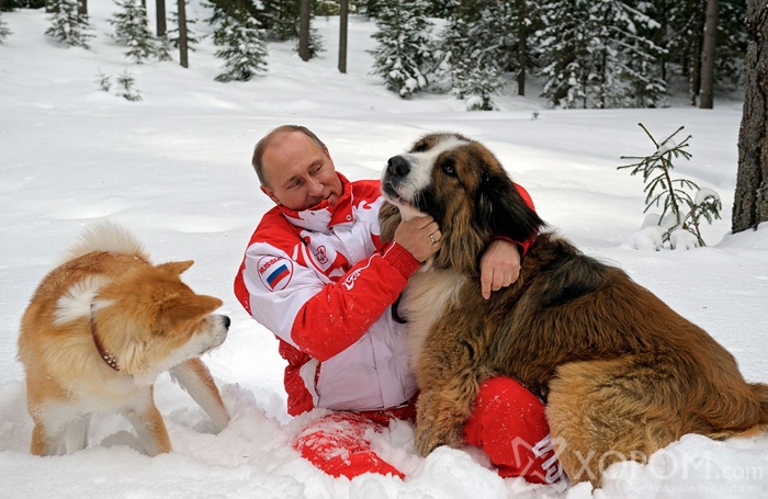 Владимир Путин ба түүний ноход 11