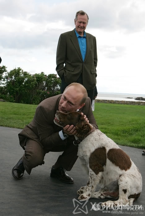 Владимир Путин ба түүний ноход 15
