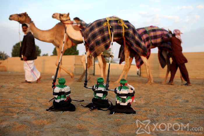 Арабын уламжлалт тэмээн уралдааны унаач хүүхдийг роботууд орлоно 5