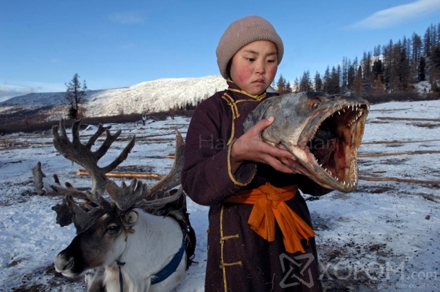 Үндэсний газарзүйн нийгэмлэгийн хайгуулчийн дуранд буусан Монгол цаатнуудын ахуй 6