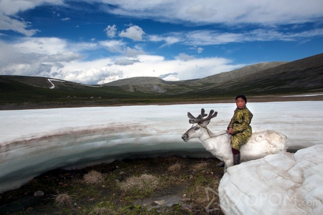 Үндэсний газарзүйн нийгэмлэгийн хайгуулчийн дуранд буусан Монгол цаатнуудын ахуй 7