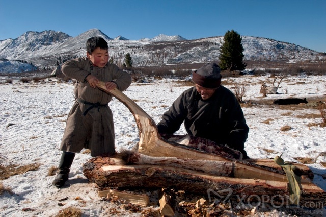 Үндэсний газарзүйн нийгэмлэгийн хайгуулчийн дуранд буусан Монгол цаатнуудын ахуй 8