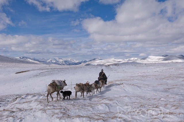 Үндэсний газарзүйн нийгэмлэгийн хайгуулчийн дуранд буусан Монгол цаатнуудын ахуй 14