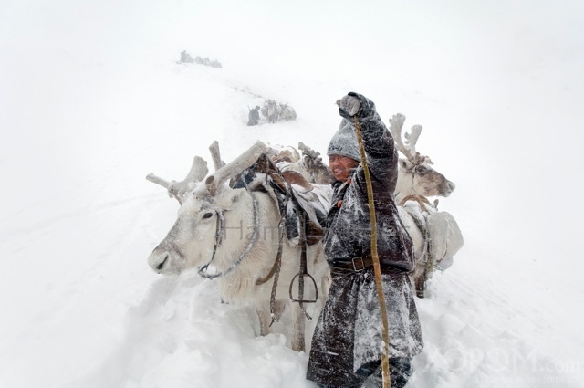 Үндэсний газарзүйн нийгэмлэгийн хайгуулчийн дуранд буусан Монгол цаатнуудын ахуй 17