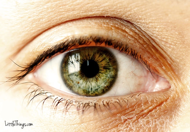 Нүдний өнгө таны зан чанарыг тодорхойлно 6