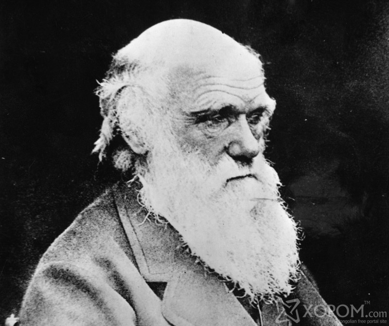 FILE - In this undated file photo, British scientist Charles Robert Darwin, founder of the theory for the evolution of life is seen at an unknown location. An auction house said Sunday, Nov. 22, 2009 it is selling a rare first edition of Charles Darwin's "On the Origin of Species" found in a family's guest lavatory in southern England. (AP Photo, File) / SCANPIX Code: 436