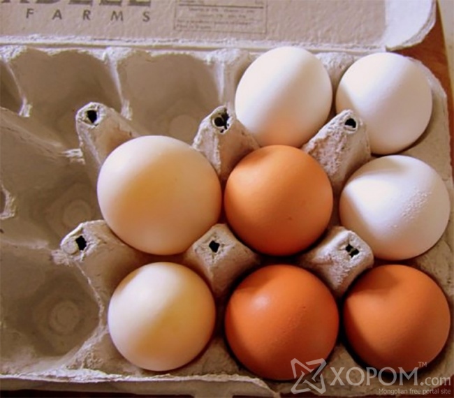 Өндөг идэхээсээ өмнө өндөгний шарын өнгийг нь сайн анзаараарай! 3
