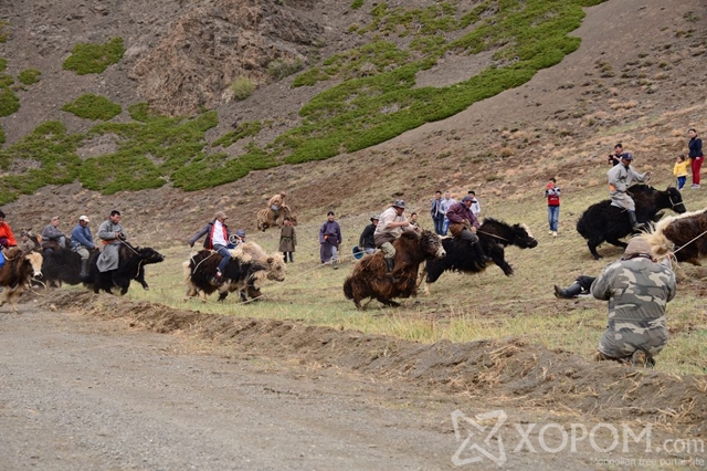 BBC телевизийнхэн Монгол сарлагийн тухай баримтат кино бүтээхээр иржээ 5