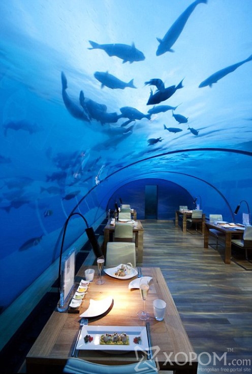 Энэтхэгийн далайн гүнд орших усан доорх зоогийн газар 7