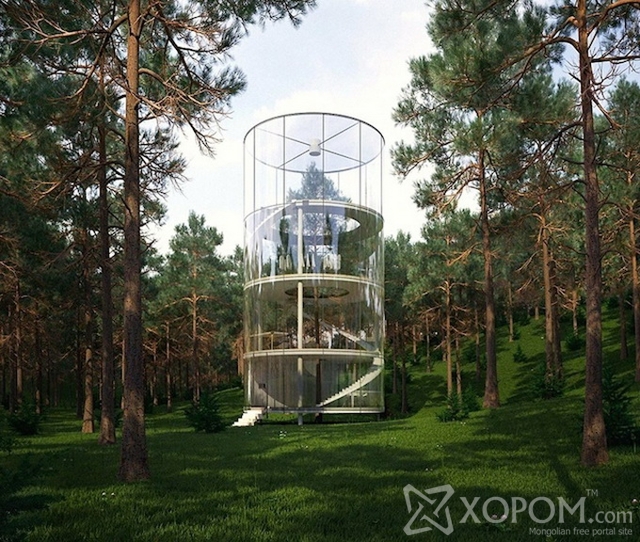 Казахстан дахь ойн дундах байшин доторх мод 1