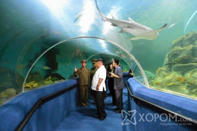 Хойд Солонгос улсын Хүүхдийн зуслан (49 Фото) 3