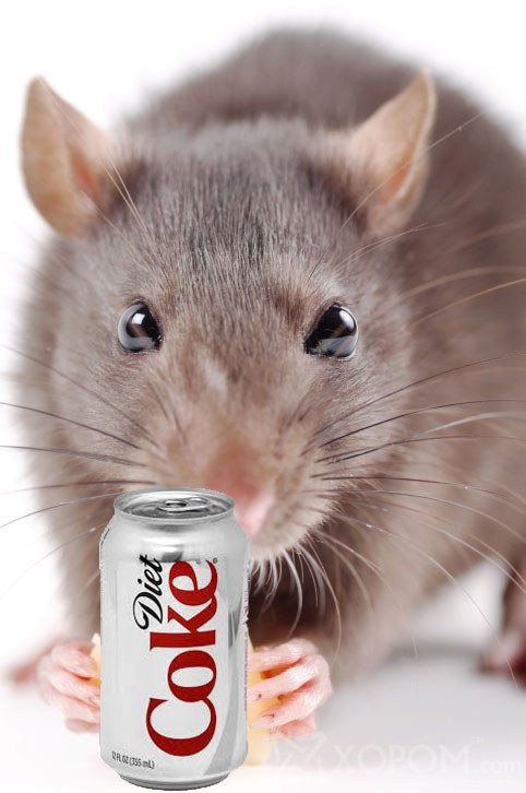 Diet Coke уух дуртай хүмүүс сонсохыг хүсэмгүй 15 зүйл 5
