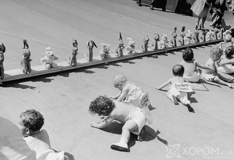 July 1946: Babies crawling toward a mobile row of stuffed rabbits during the 8th annual Diaper Service Derby sponsored by the National Institute of Diaper Services. (Photo by Cornell Capa/The LIFE Picture Collection/Getty Images)