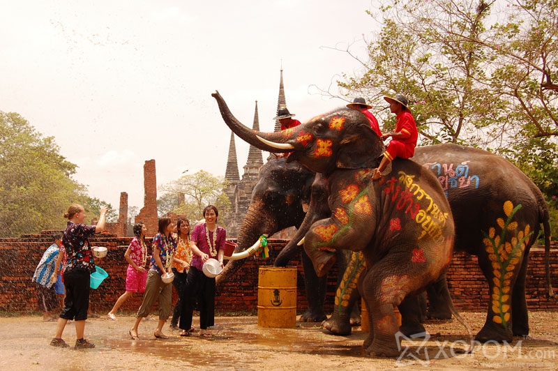 Почему нельзя в тайланд. Белый слон Тайланд. Слон в Индии Священное животное. Слон в Тайланде Священное животное. Священный слон символ Таиланда.