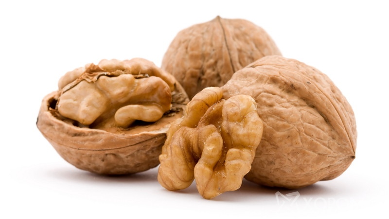 dry walnut fruit studio isolated closeup