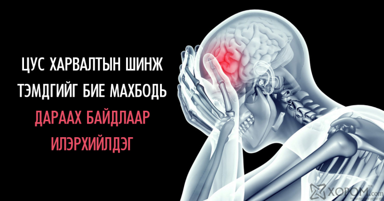 Может ли администратор цус запретить пользователю использовать чат и файловый обмен